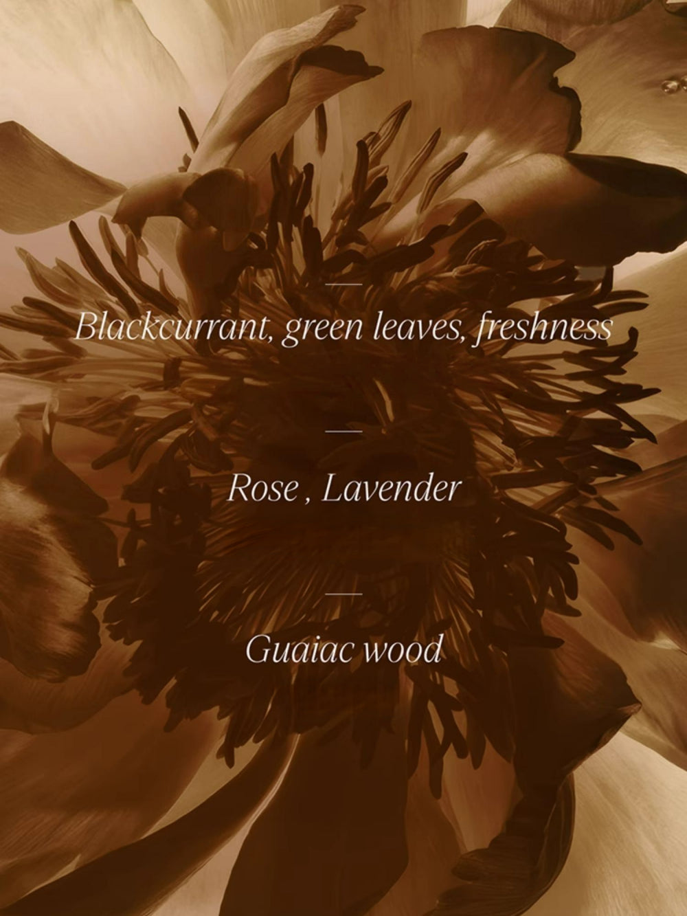 Mummy Anti-wrinkle Facial Oil 0.35ml*21